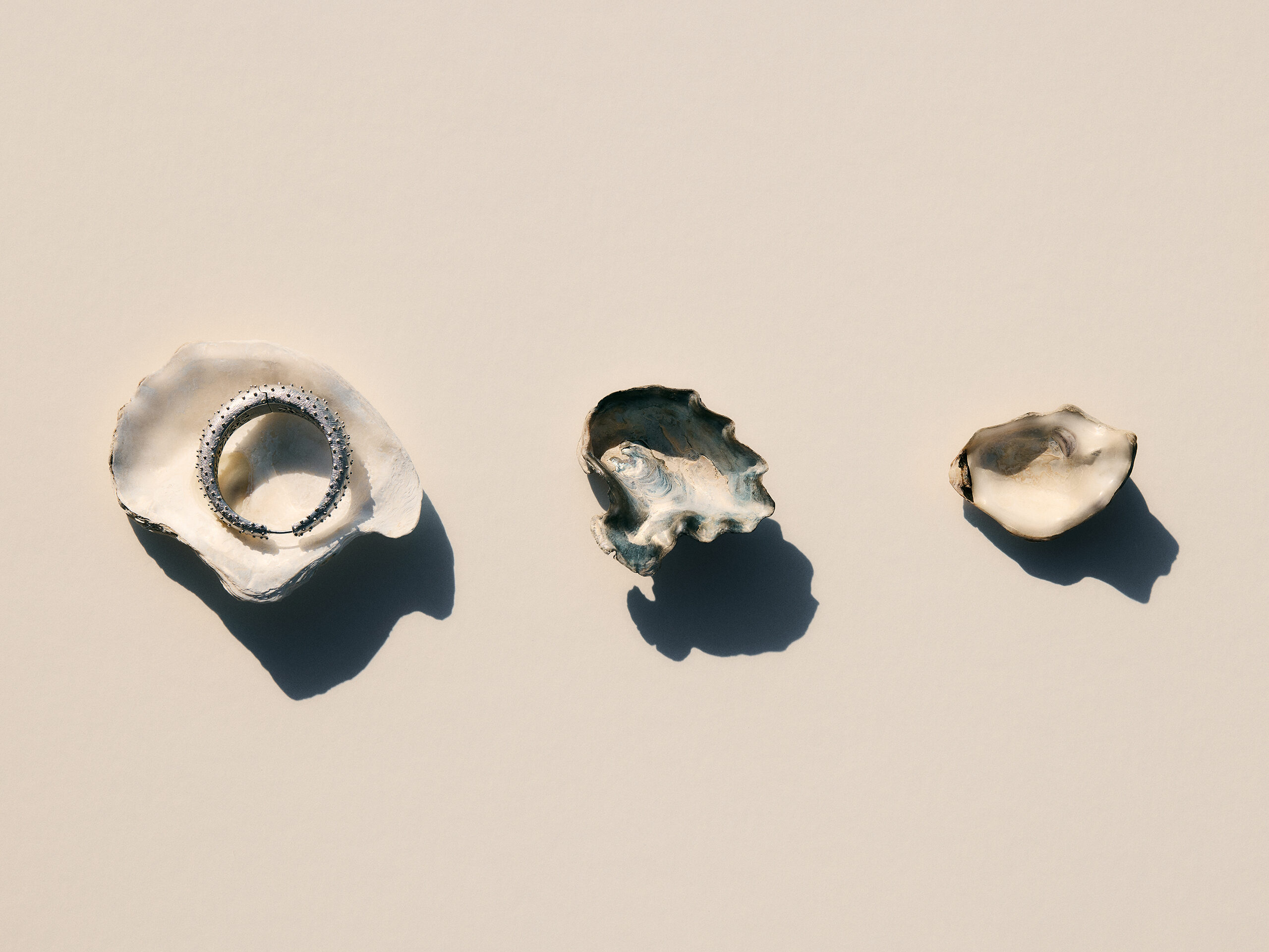 Earring and oyster shells